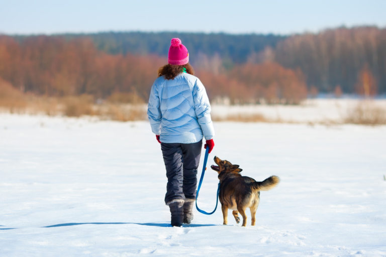 When Is It Too Cold For Your Dog?
