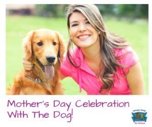 Fun Ways To Celebrate Mother’s Day With The Dog