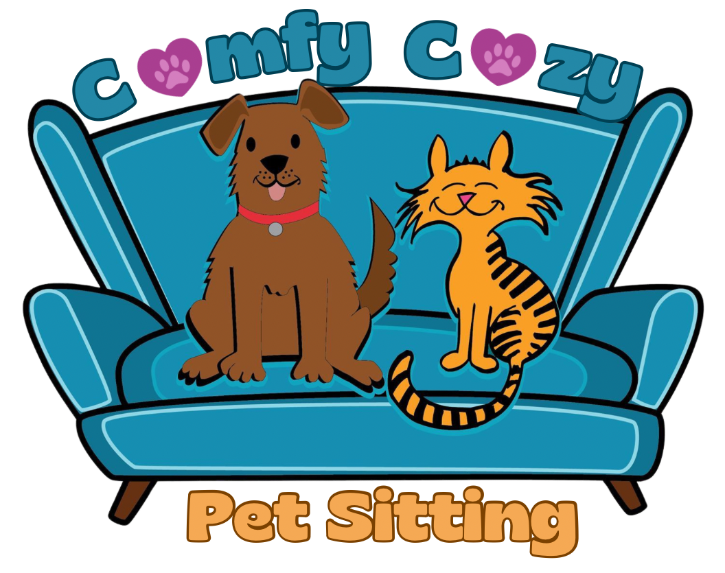 comfy cozy comfy cozy pet sitting milton ma